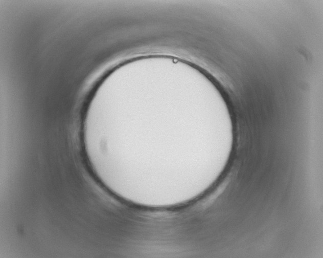 X0000115421502200911241337