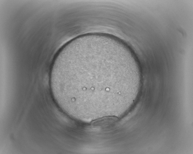 X0000115421505200911241337