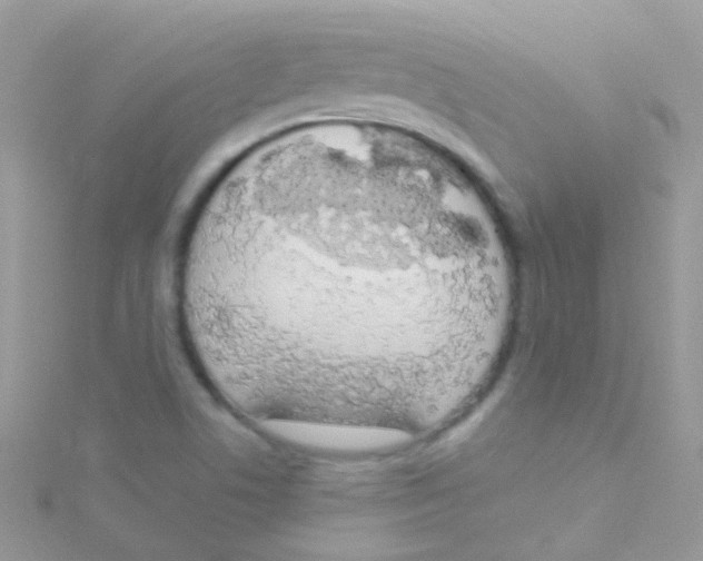 X0000115421506200911241337