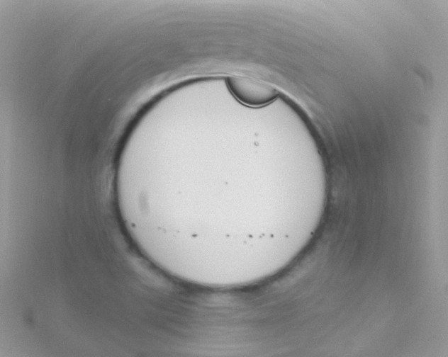 X0000115421507200911241337