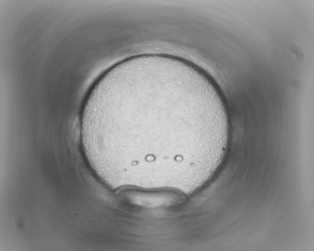 X0000115421509200911241337