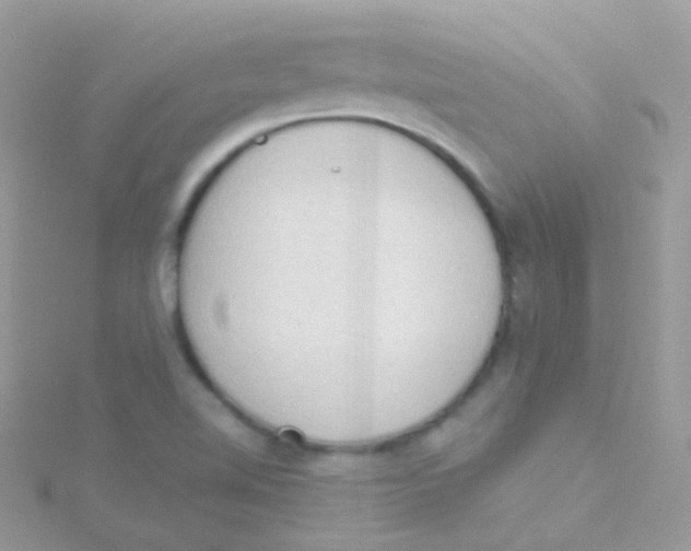 X0000115421510200911241337