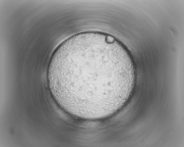 X0000115421513200911241337