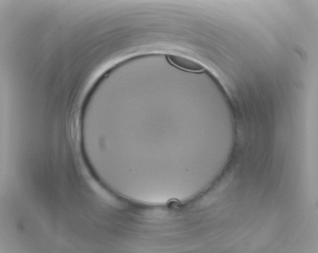 X0000115421515200911241337