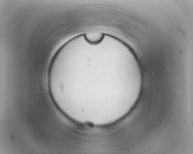 X0000115421517200911241337