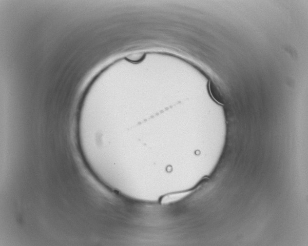 X0000115421518200911241337