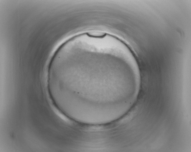 X0000115421519200911241337