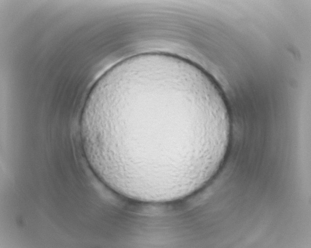 X0000115421521200911241337