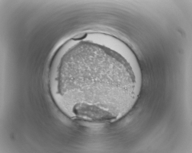 X0000115421522200911241337