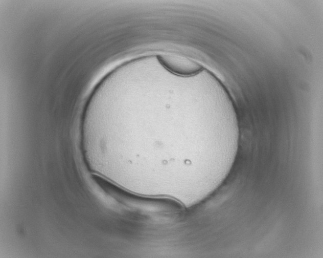 X0000115421523200911241337