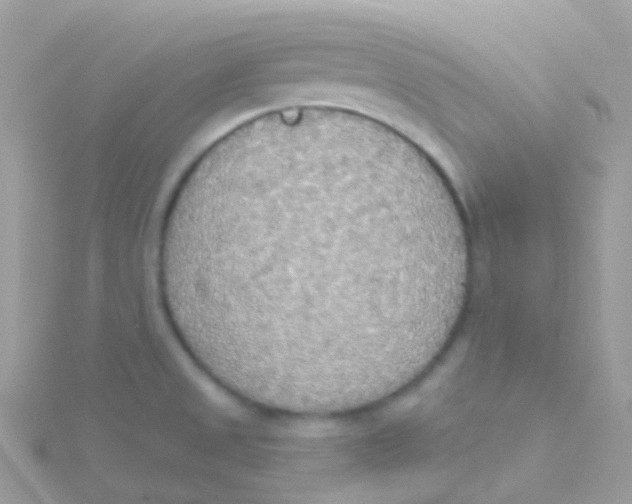 X0000115421525200911241337