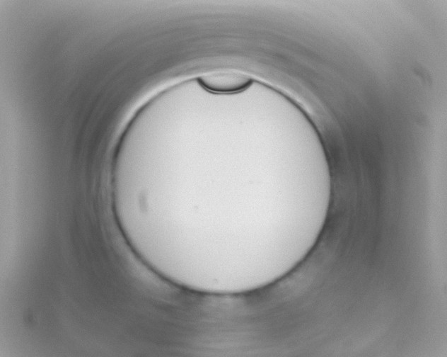 X0000115421526200911241337