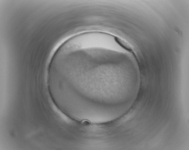 X0000115421527200911241338