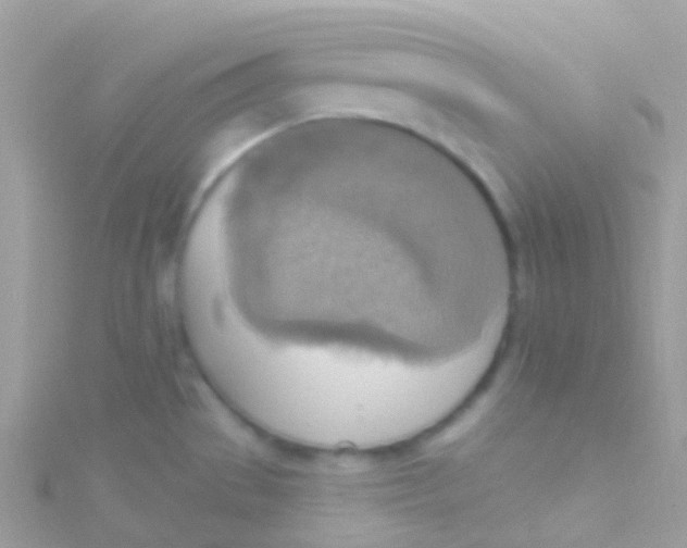 X0000115421529200911241338