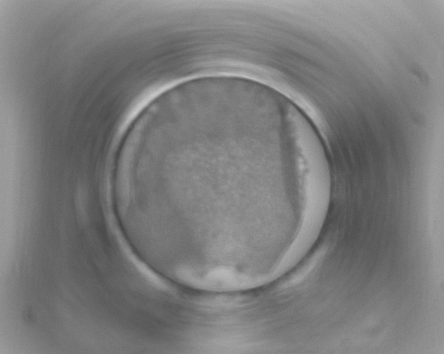 X0000115421533200911241338