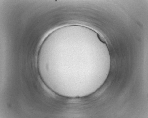 X0000115421535200911241338