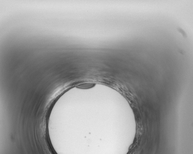 X0000115420005200912011256