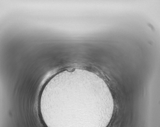 X0000115420006200912011256