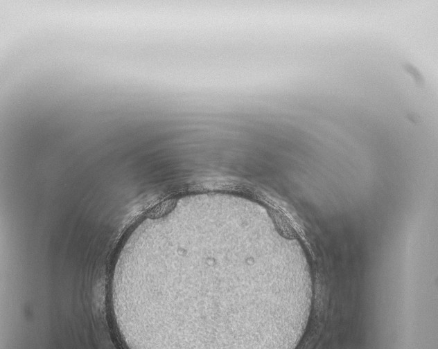 X0000115420010200912011256