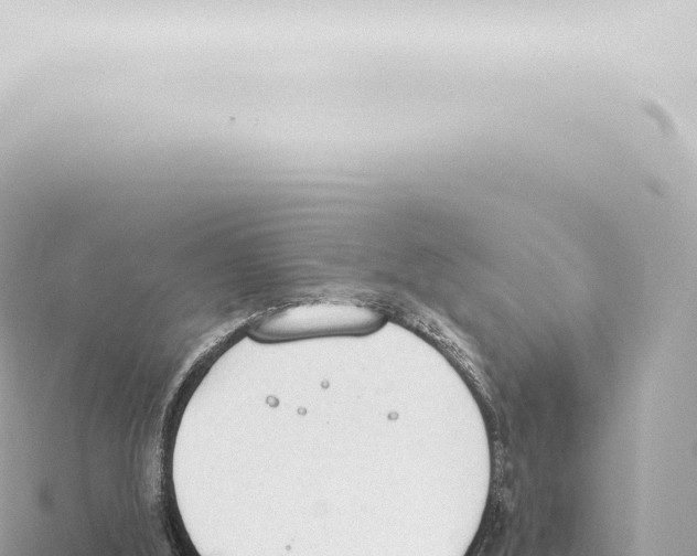 X0000115420012200912011256