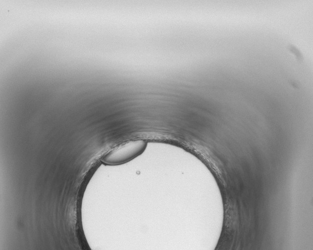 X0000115420015200912011255