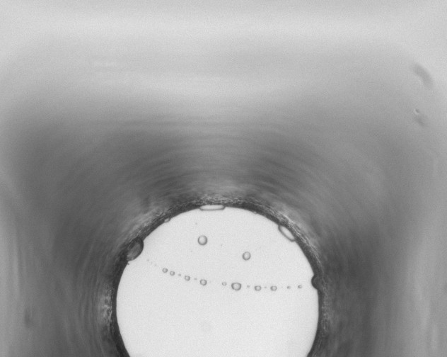 X0000115420017200912011255