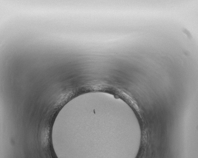 X0000115420018200912011255