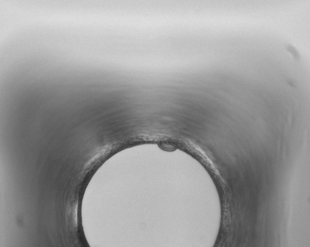 X0000115420019200912011255