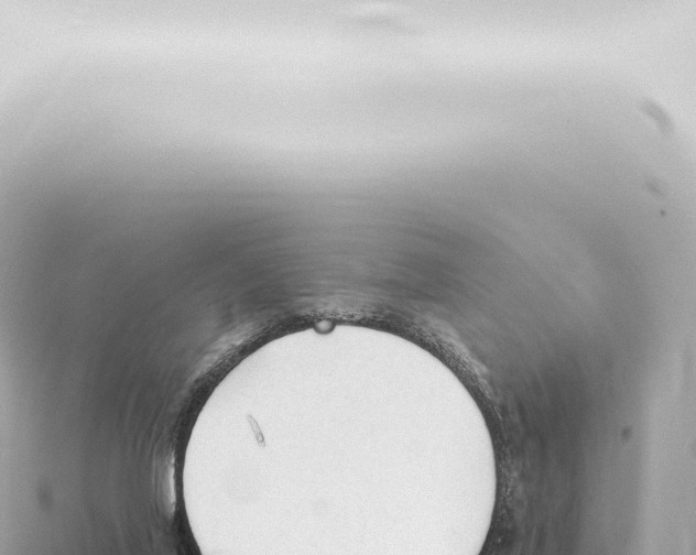 X0000115420020200912011255