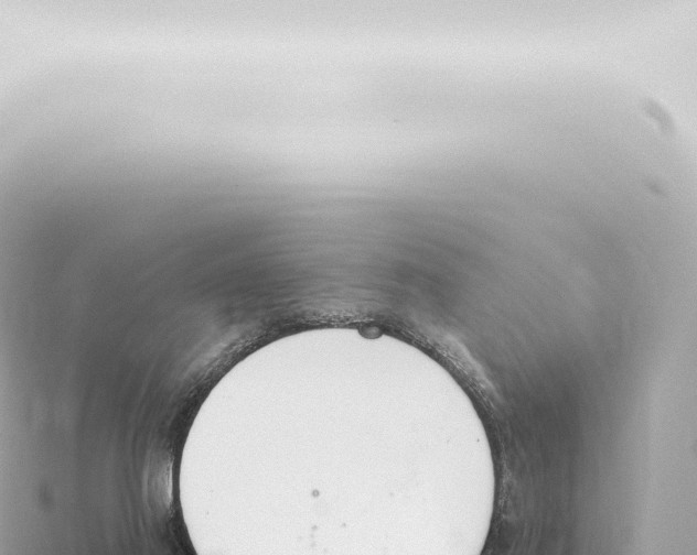 X0000115420021200912011255