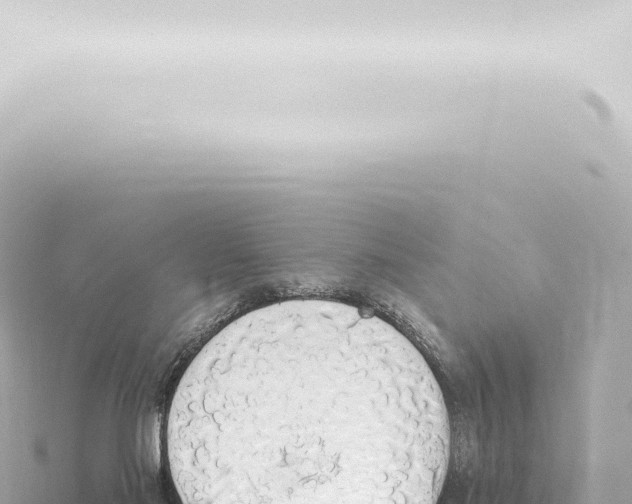 X0000115420022200912011255