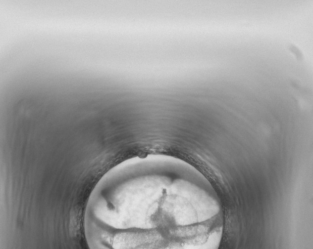 X0000115420030200912011255