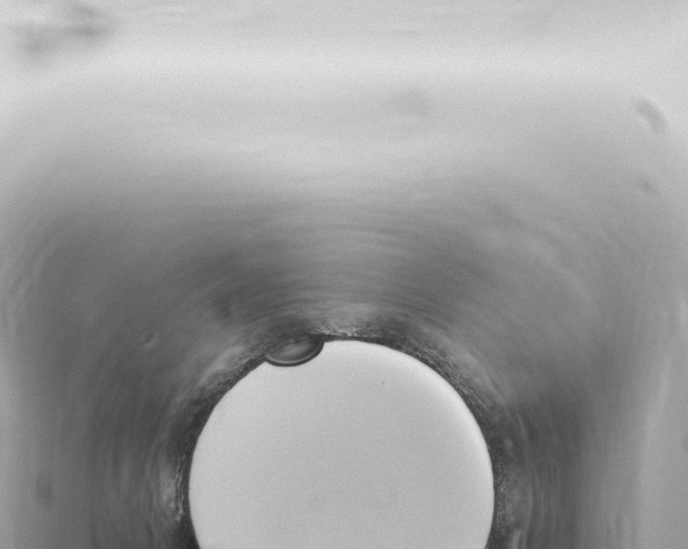 X0000115420031200912011255