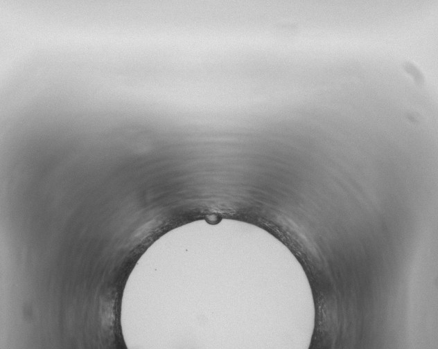 X0000115420032200912011255