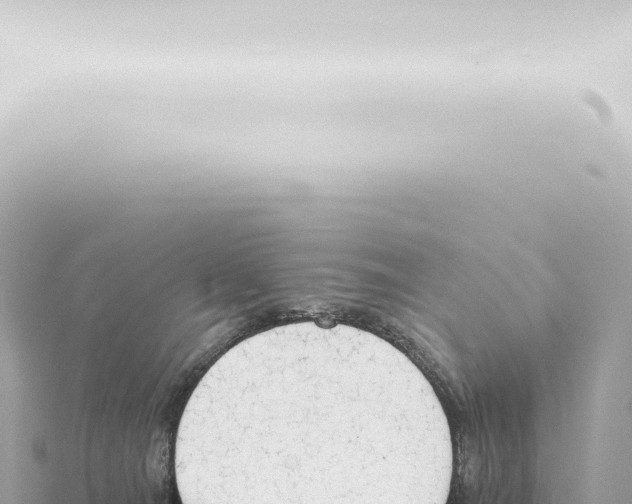 X0000115420036200912011255