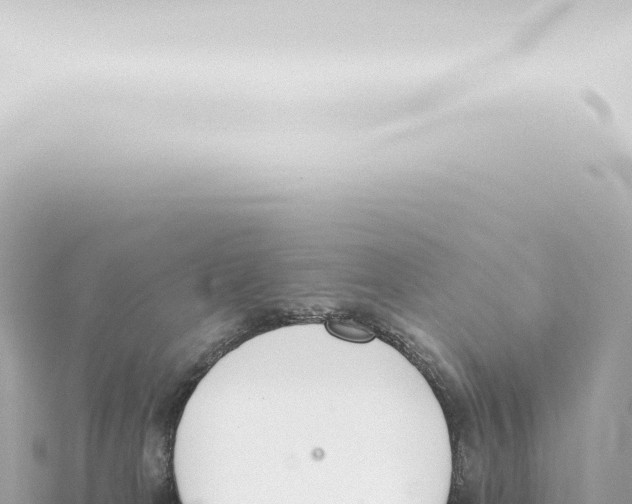 X0000115420037200912011255