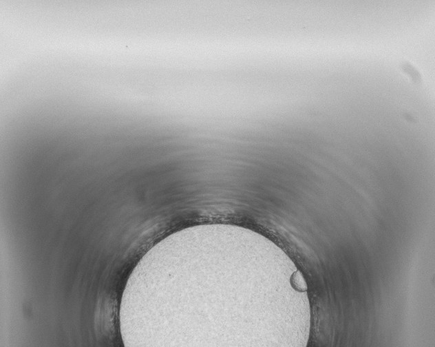 X0000115420038200912011255