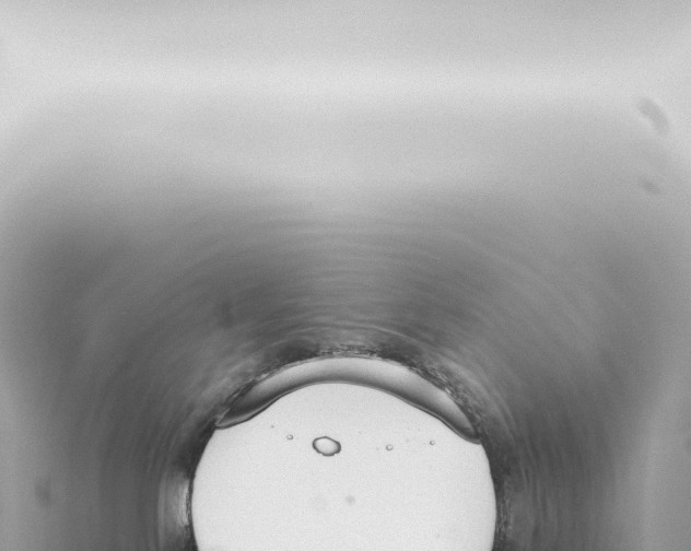 X0000115420041200912011255