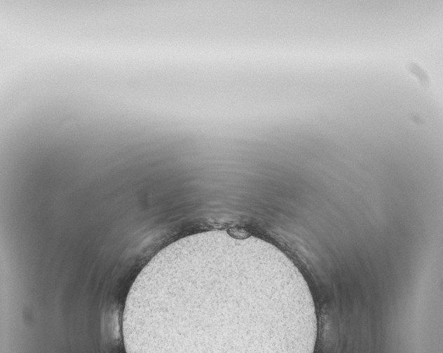 X0000115420042200912011255