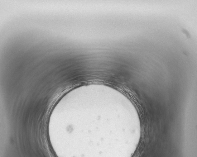 X0000115420049200912011254