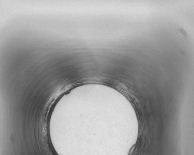 X0000115420050200912011254