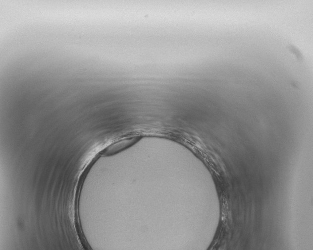 X0000115420052200912011254