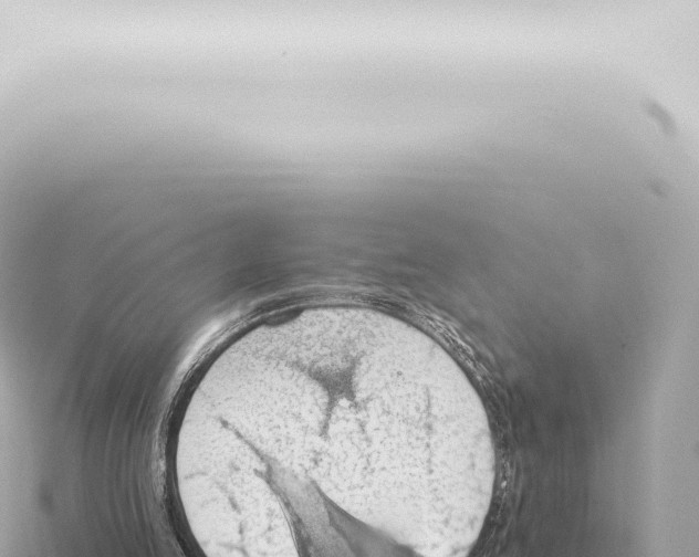 X0000115420053200912011254