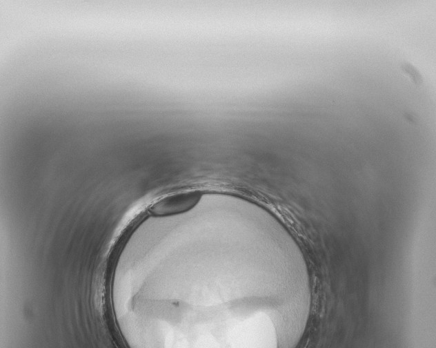 X0000115420056200912011255