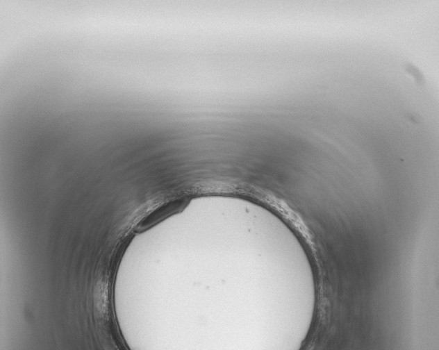 X0000115420057200912011255