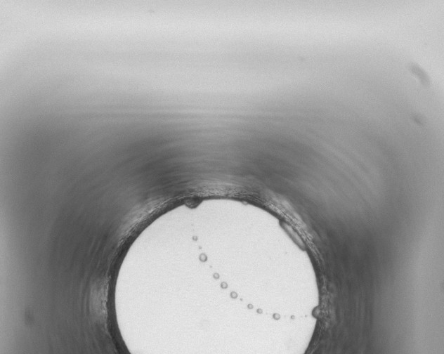 X0000115420058200912011255