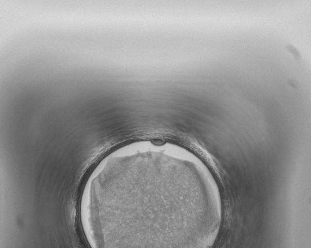 X0000115420059200912011255