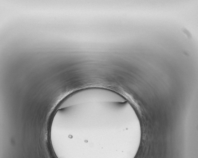 X0000115420060200912011255