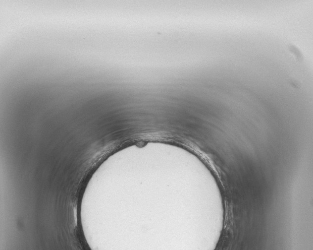 X0000115420061200912011255