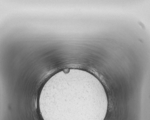 X0000115420062200912011255